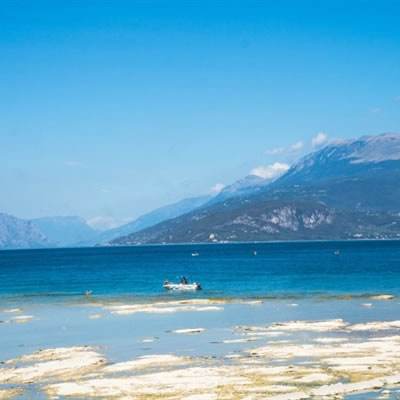 贝博app代言艾弗森下载手机版截图